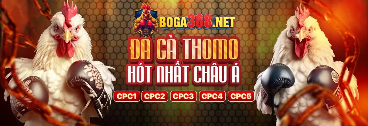 Hình ảnh chính ứng dụng vin777vip