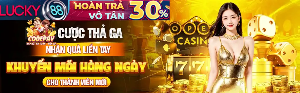 Giấy phép và tuân thủ pháp luật của vin777vip